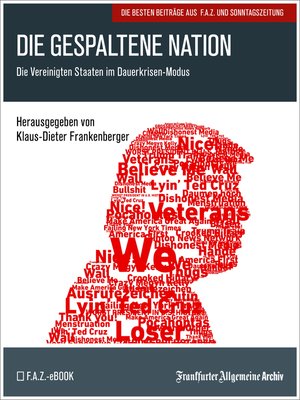 cover image of Die gespaltene Nation